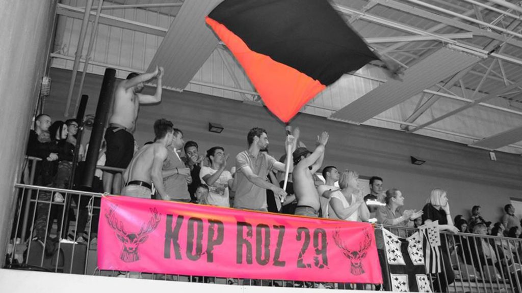 LOGO ROZHAND'DU SPORT HANDBALL ROSPORDEN KOP KOZ 29
